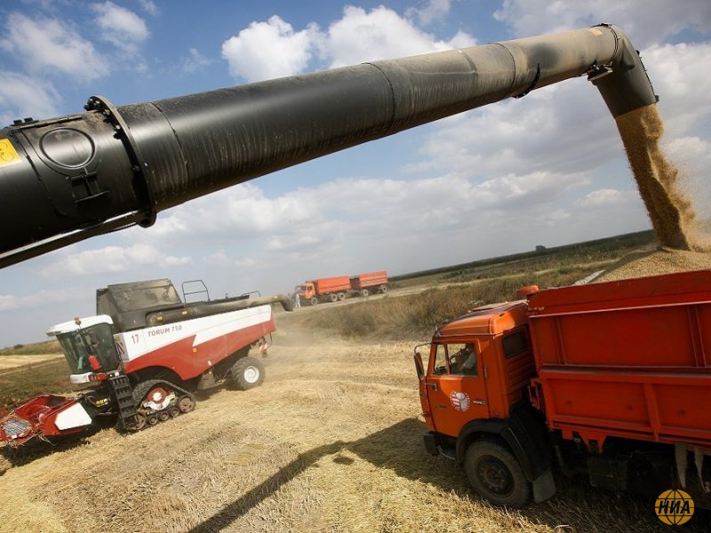 Аграрии Ростовской области собрали более 11 млн тонн зерна в 2019 году