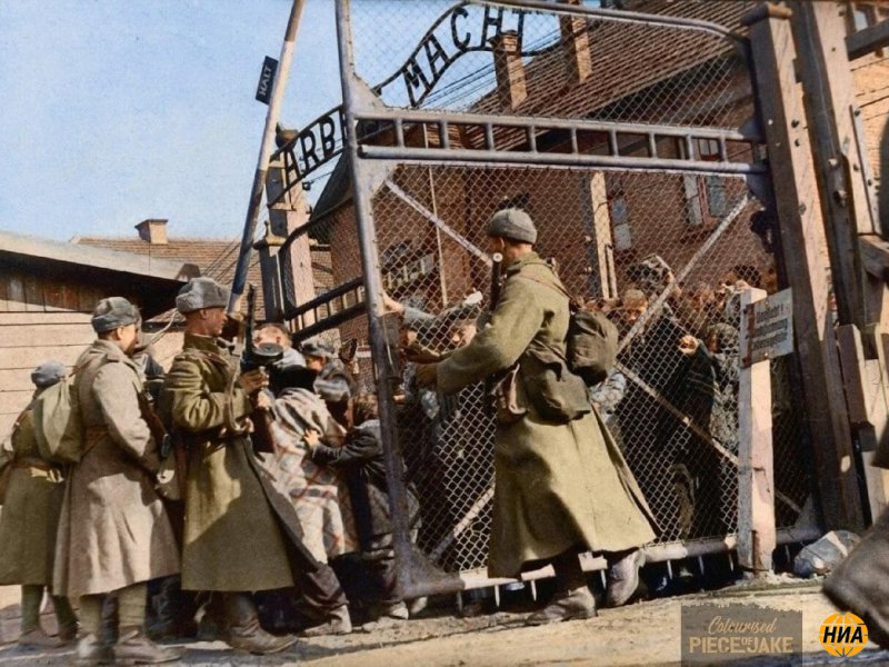 27 января 1945 года Красная Армия освободила узников Освенцима