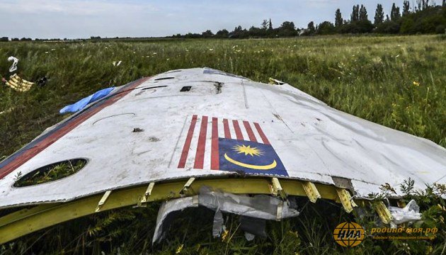 Объективны ли Нидерланды в расследовании крушения MH17? «Пока это только материалы украинских секретных агентств».